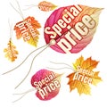 Set of Autumn Sale tags. EPS 10 Royalty Free Stock Photo