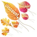 Set with autumn sale tags. EPS 10 Royalty Free Stock Photo