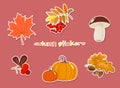 Set of autumn stickers with leaves and fruits Royalty Free Stock Photo