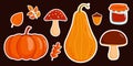 Set of autumn stickers. Pumpkin, acorn and bright leaves. Autumn concept. Vector illustration in flat cartoon style on a dark Royalty Free Stock Photo