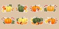 Set of autumn stickers, pumpkins with acorns, mushrooms and autumn leaves and rowan. Illustration, icons, template Royalty Free Stock Photo