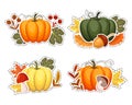 Set of autumn stickers, pumpkins with mushrooms acorns with autumn leaves and rowan. Illustration, icons,vector Royalty Free Stock Photo