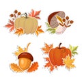 Set of autumn stickers, pumpkins, mushrooms and acorns with autumn leaves and rowan. Illustration, icons, vector Royalty Free Stock Photo