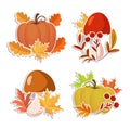 Set of autumn stickers, pumpkins, mushrooms and acorns with autumn leaves and rowan. Illustration, icons, vector Royalty Free Stock Photo