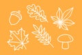 set of autumn symbols, white outline oak, maple, chestnut, rowan leaf, mushroom, acorn, set of fall decorative drawing Royalty Free Stock Photo