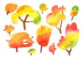 Watercolor autumn trees isolated on white background with clipping mask