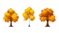 Set of autumn trees. Vector illustration.
