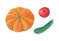 Set of Autumn Vegetables Flat Vector Illustrations Royalty Free Stock Photo
