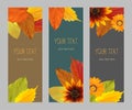 Set autumn vertical banners Royalty Free Stock Photo