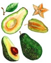 Set of several avocado and carambola images. Painted in watercolor Royalty Free Stock Photo