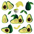 Set of avocado fresh ripe green vegetable half, whole, slices, sliced, guacamole, leaves isolated on white background. Watercolor