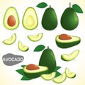 Set of avocado fruit in various styles vector format