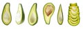 A set of avocado pieces of different shapes