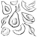 Set of avocado seamless drawing. Fruit and diet illustrations. Line art Royalty Free Stock Photo