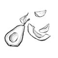 Set of avocado seamless drawing. Fruit and diet illustrations. Line art Royalty Free Stock Photo