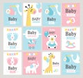 Set of baby shower cards.