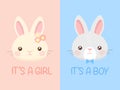 Set of baby shower invitation with cartoon baby bunny. It\'s a boy. It\'s a girl. Vector illustration