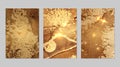 Set of backgrounds for banner, poster design with fortuna gold and brown marble pattern Royalty Free Stock Photo