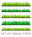 Set of Backgrounds Of Green Grass, Isolated On White Background, Vector Illustration Royalty Free Stock Photo