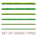 Set of Backgrounds Of Green Grass, Isolated On White Background, Vector Illustration Royalty Free Stock Photo