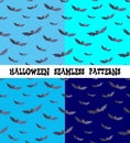 A set of backgrounds for the holiday Halloween, bat. Royalty Free Stock Photo