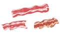 Set of bacon icons on a white background. raw smoked and toasted bacon. vector. ingredients for cooking, cafe and restaurant menus Royalty Free Stock Photo