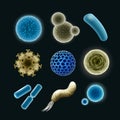 Set of bacteria