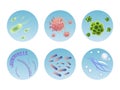 Set of bacteria and viruses vector illustration flat Royalty Free Stock Photo