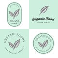 Set of badges, banner, labels and logos for Organic natural and fresh food product with hand drawn leaf. Packaging design.