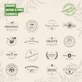 Set of badges and labels elements for organic