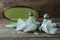 Set of badminton. Paddle and the shuttlecock Royalty Free Stock Photo