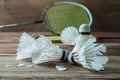 Set of badminton. Paddle and the shuttlecock Royalty Free Stock Photo