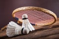 A set of badminton. Paddle and the shuttlecock.