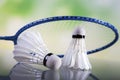 A set of badminton. Paddle and the shuttlecock. Royalty Free Stock Photo