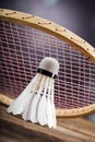 A set of badminton. Paddle and the shuttlecock.