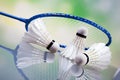 A set of badminton. Paddle and the shuttlecock. Royalty Free Stock Photo