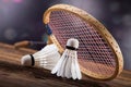 A set of badminton. Paddle and the shuttlecock. Royalty Free Stock Photo