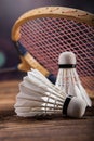 A set of badminton. Paddle and the shuttlecock.