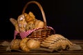 Set of Baked Bread with basket Royalty Free Stock Photo