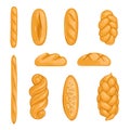 Set of bakery products. Bread, loaf, hala, baguette in cartoon style