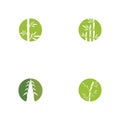 Set Bamboo Logo Template vector icon illustration design Royalty Free Stock Photo