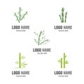 Set Bamboo Logo Template vector icon illustration design Royalty Free Stock Photo