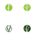 Set Bamboo Logo Template vector icon illustration design Royalty Free Stock Photo