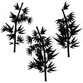 Set Bamboo tree tropical silhouette Vector illustration Royalty Free Stock Photo