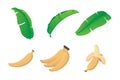 Set banana cartoon with leaf
