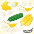 Set of banana in various styles vector format Royalty Free Stock Photo