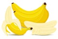 Set of bananas. Banana, half peeled banana,bunch of bananas, pieces and slices of banana isolated on white background, banana icon Royalty Free Stock Photo