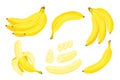 A set of bananas.Bunch of bananas, slices of bananas, peeled banana.