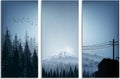 Set of banner forest trees silhouettes landscape Royalty Free Stock Photo
