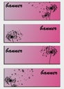 Set of banners with flower dandelion sketch Royalty Free Stock Photo